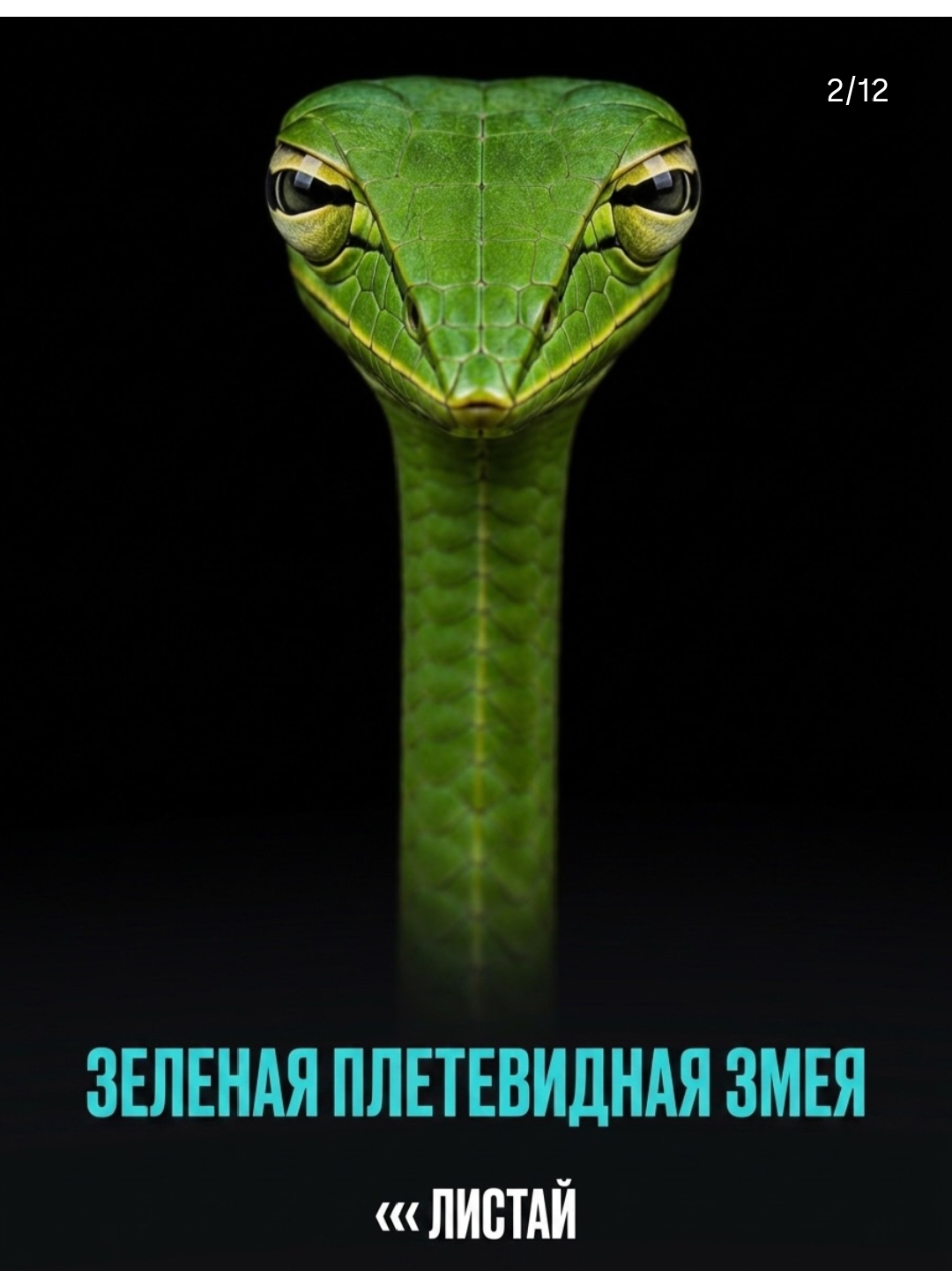 https://upforme.ru/uploads/001c/87/08/3/224591.jpg