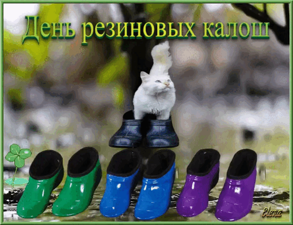 https://upforme.ru/uploads/001c/87/08/3/231235.gif