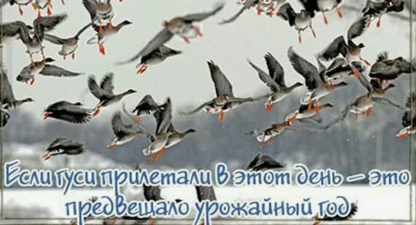 https://upforme.ru/uploads/001c/87/08/3/238151.jpg