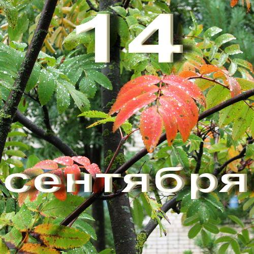 https://upforme.ru/uploads/001c/87/08/3/243988.jpg