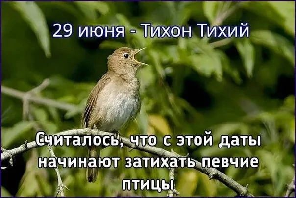 https://upforme.ru/uploads/001c/87/08/3/25239.jpg
