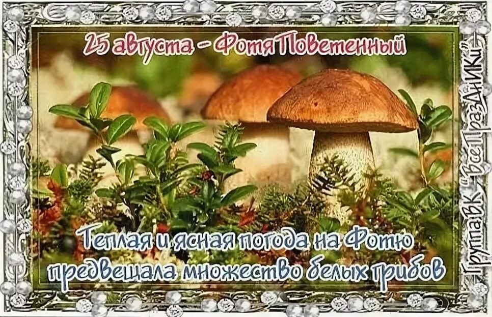 https://upforme.ru/uploads/001c/87/08/3/253349.jpg