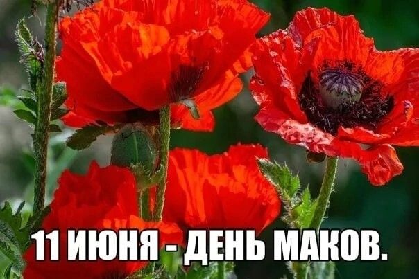 https://upforme.ru/uploads/001c/87/08/3/256941.jpg