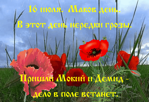 https://upforme.ru/uploads/001c/87/08/3/262254.gif