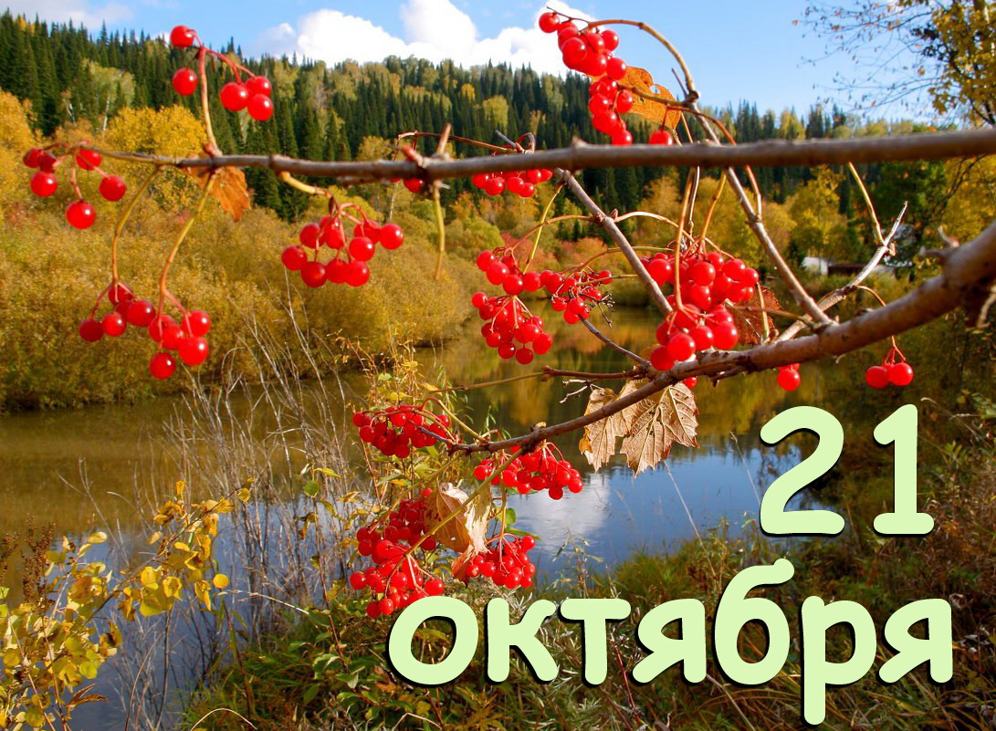 https://upforme.ru/uploads/001c/87/08/3/262760.jpg