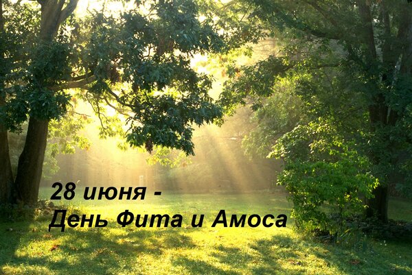 https://upforme.ru/uploads/001c/87/08/3/26691.jpg
