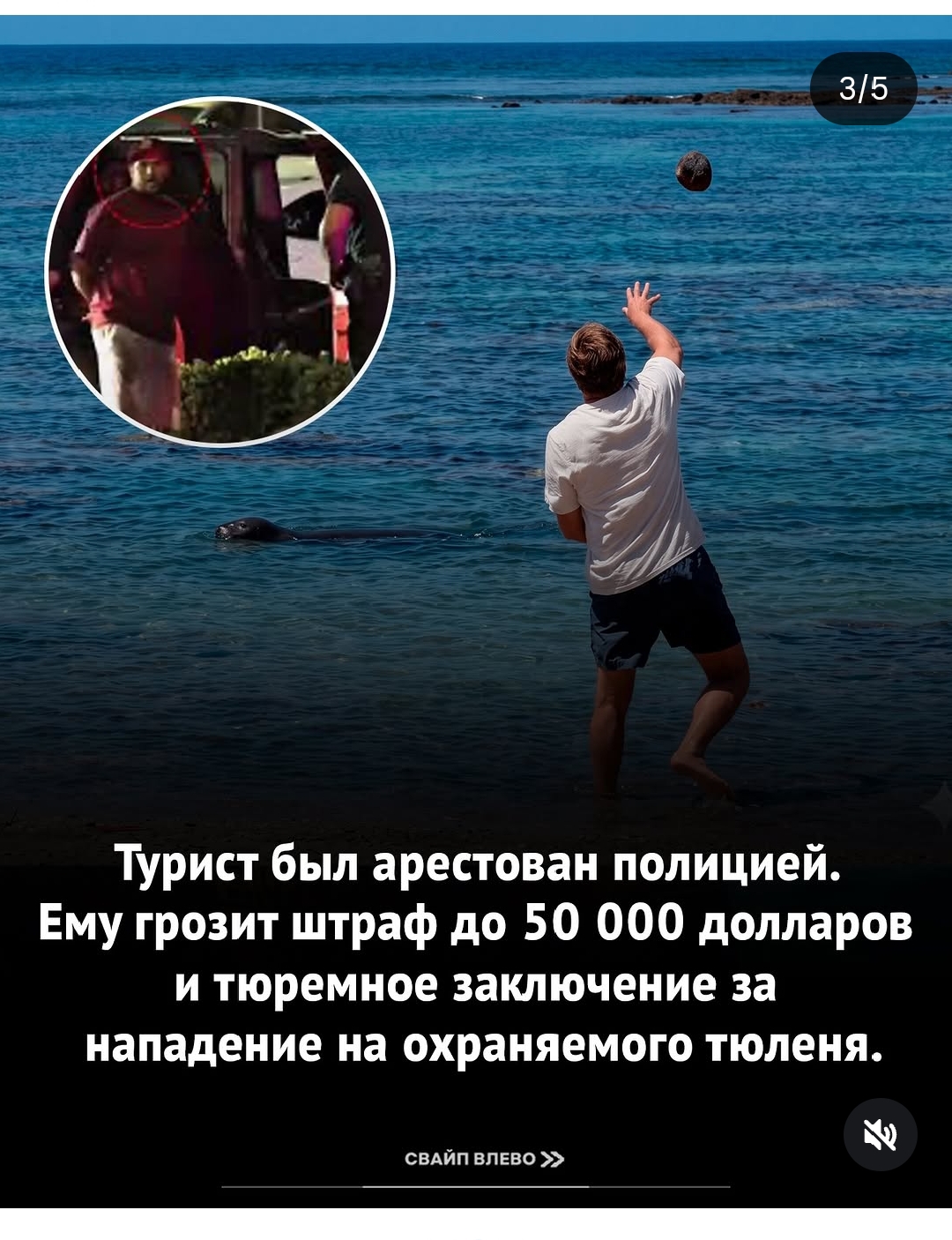 https://upforme.ru/uploads/001c/87/08/3/268487.jpg