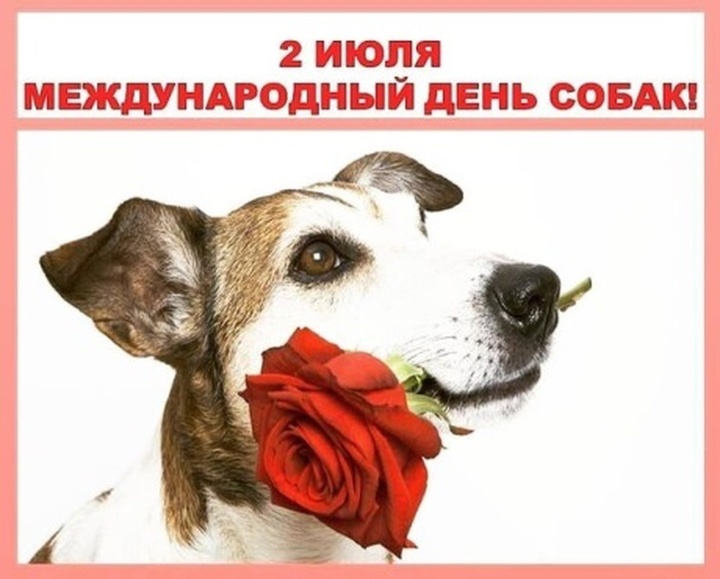 https://upforme.ru/uploads/001c/87/08/3/278629.jpg