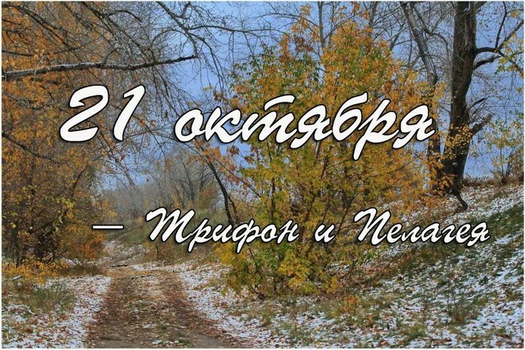 https://upforme.ru/uploads/001c/87/08/3/281097.jpg