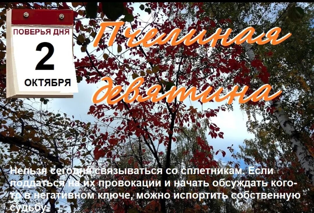 https://upforme.ru/uploads/001c/87/08/3/283338.jpg