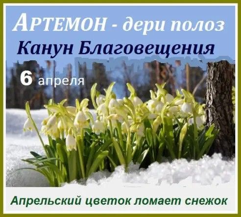 https://upforme.ru/uploads/001c/87/08/3/28518.jpg