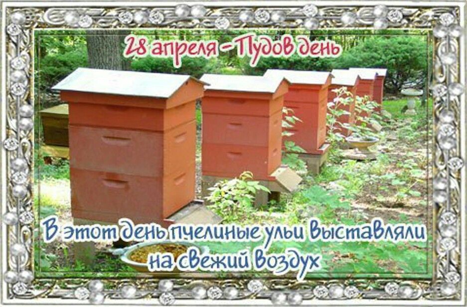 https://upforme.ru/uploads/001c/87/08/3/285389.jpg