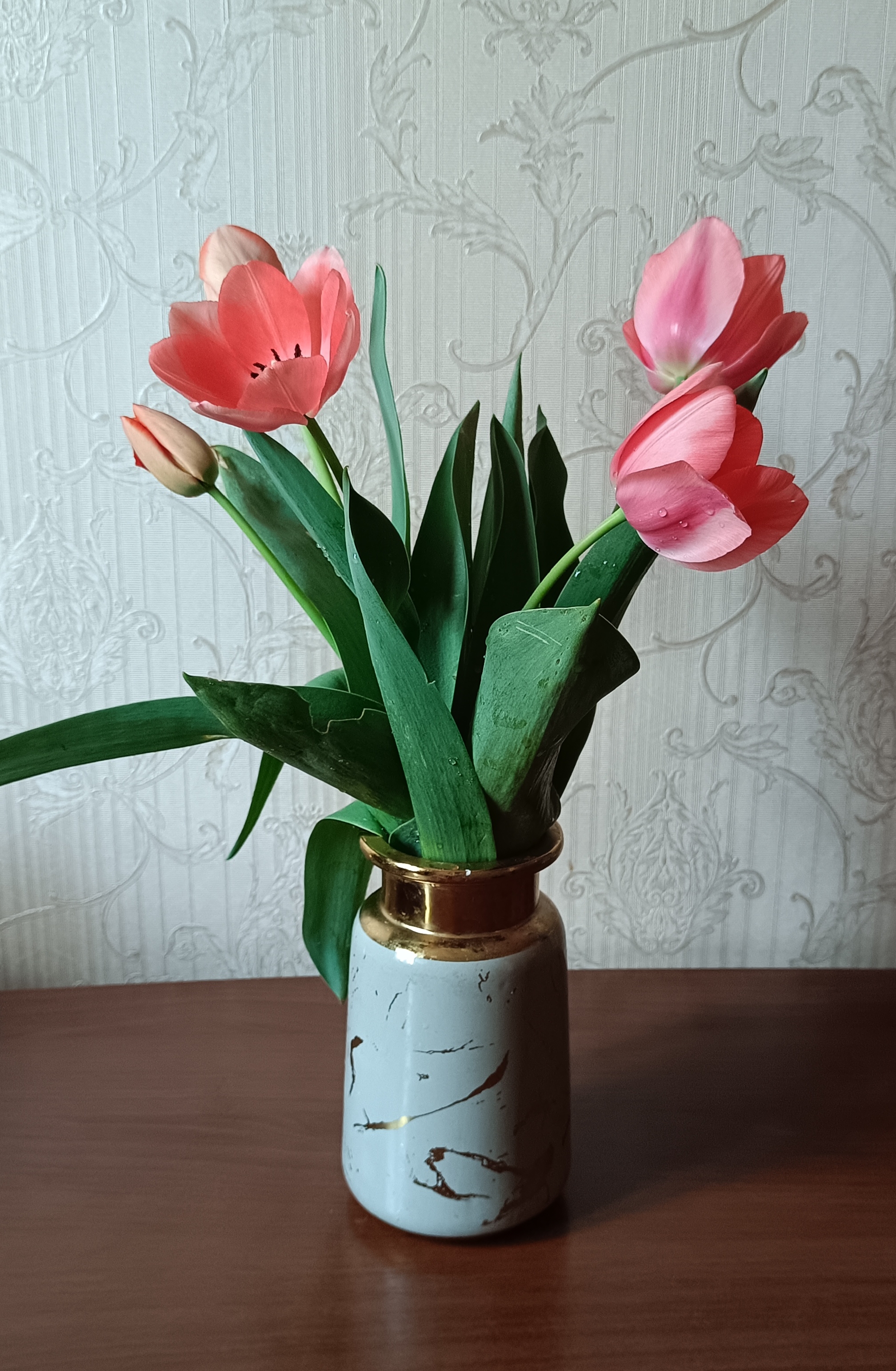 https://upforme.ru/uploads/001c/87/08/3/290300.jpg