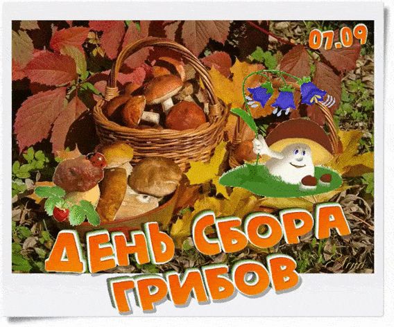 https://upforme.ru/uploads/001c/87/08/3/291596.jpg