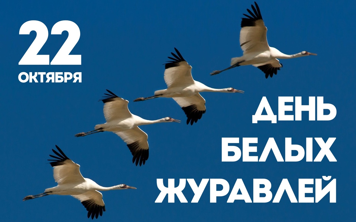https://upforme.ru/uploads/001c/87/08/3/309337.jpg