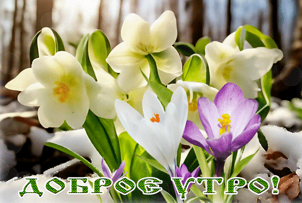 https://upforme.ru/uploads/001c/87/08/3/316497.gif