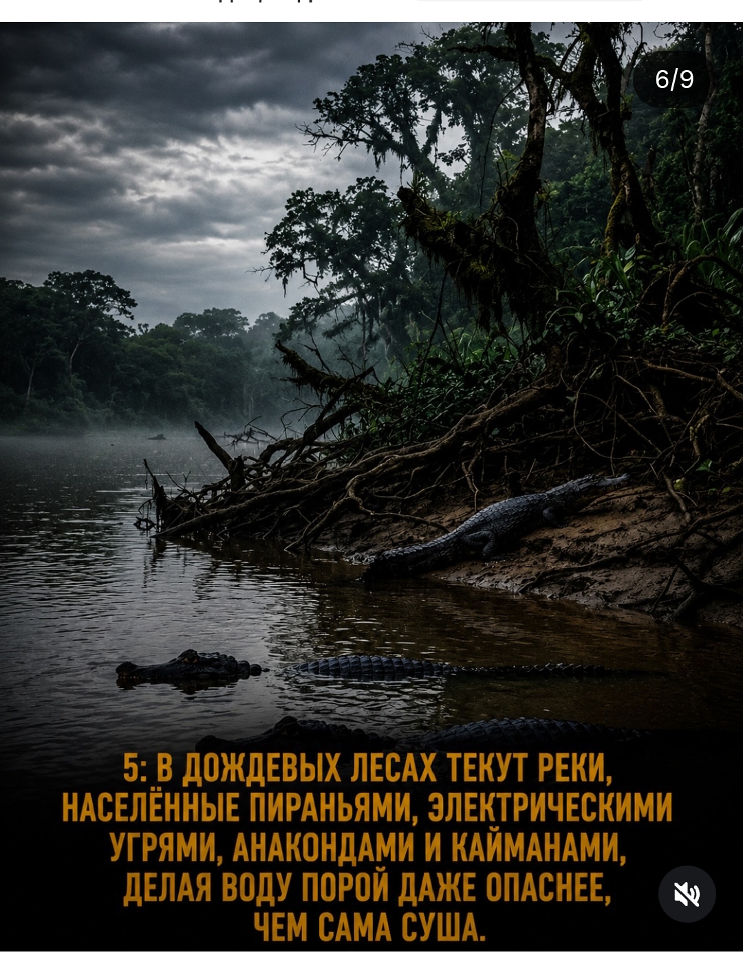https://upforme.ru/uploads/001c/87/08/3/317667.jpg