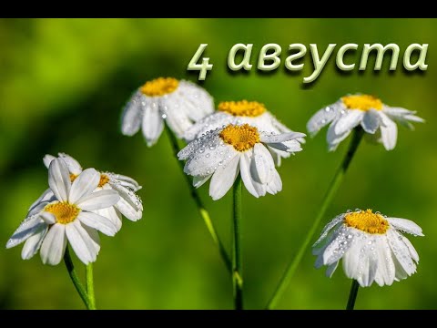 https://upforme.ru/uploads/001c/87/08/3/32101.jpg