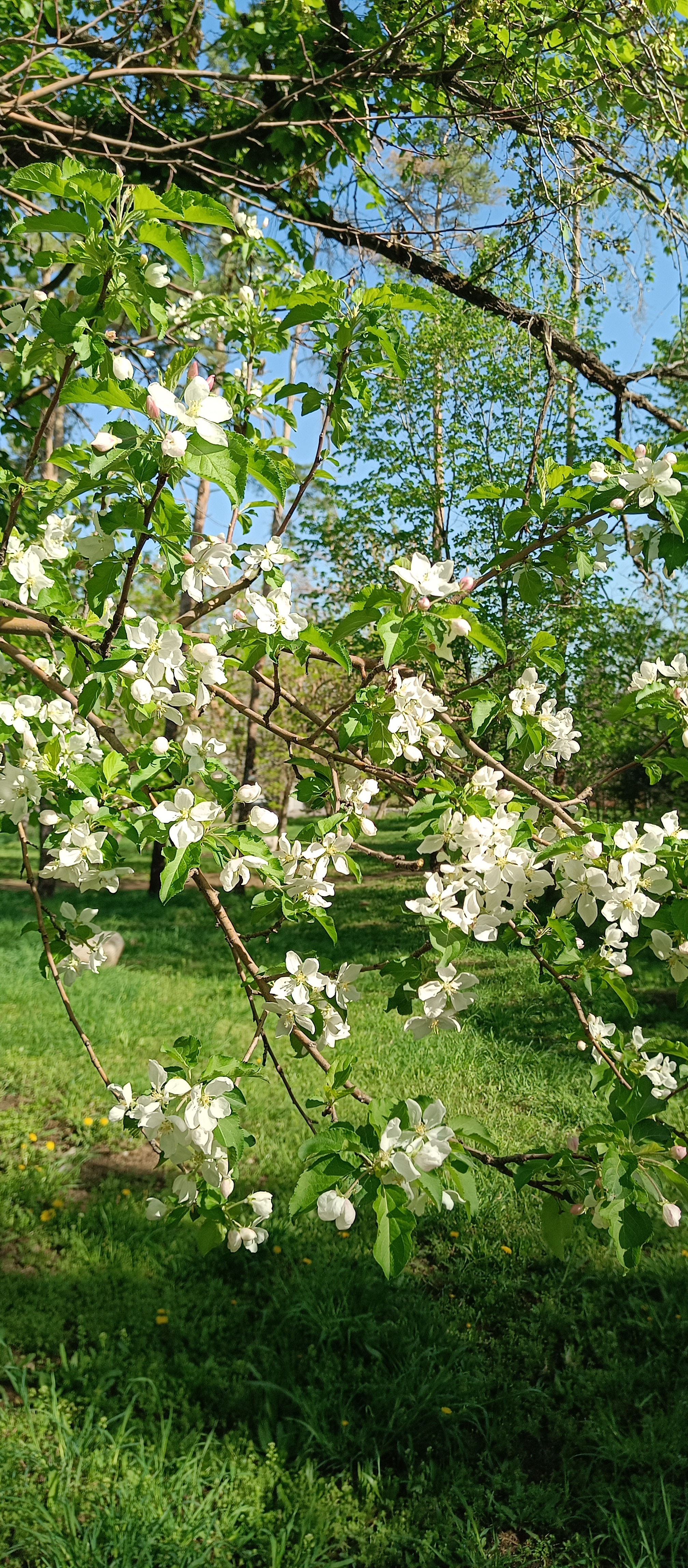 https://upforme.ru/uploads/001c/87/08/3/329953.jpg