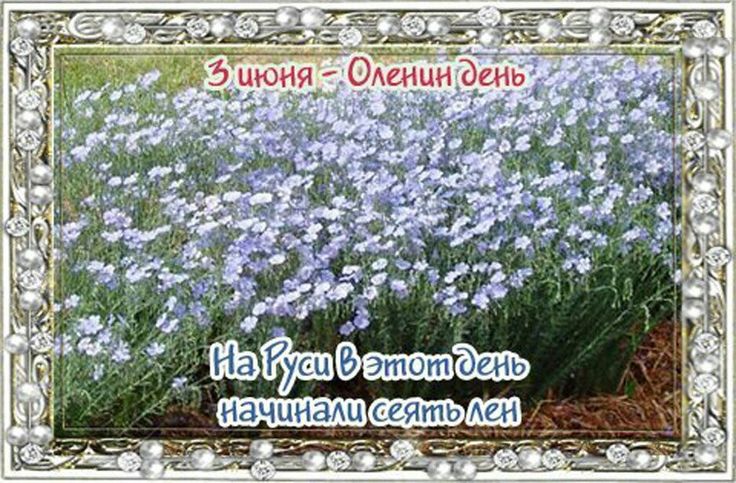 https://upforme.ru/uploads/001c/87/08/3/334231.jpg