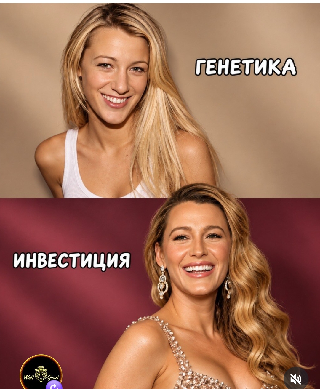 https://upforme.ru/uploads/001c/87/08/3/339351.jpg
