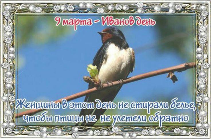 https://upforme.ru/uploads/001c/87/08/3/341139.jpg