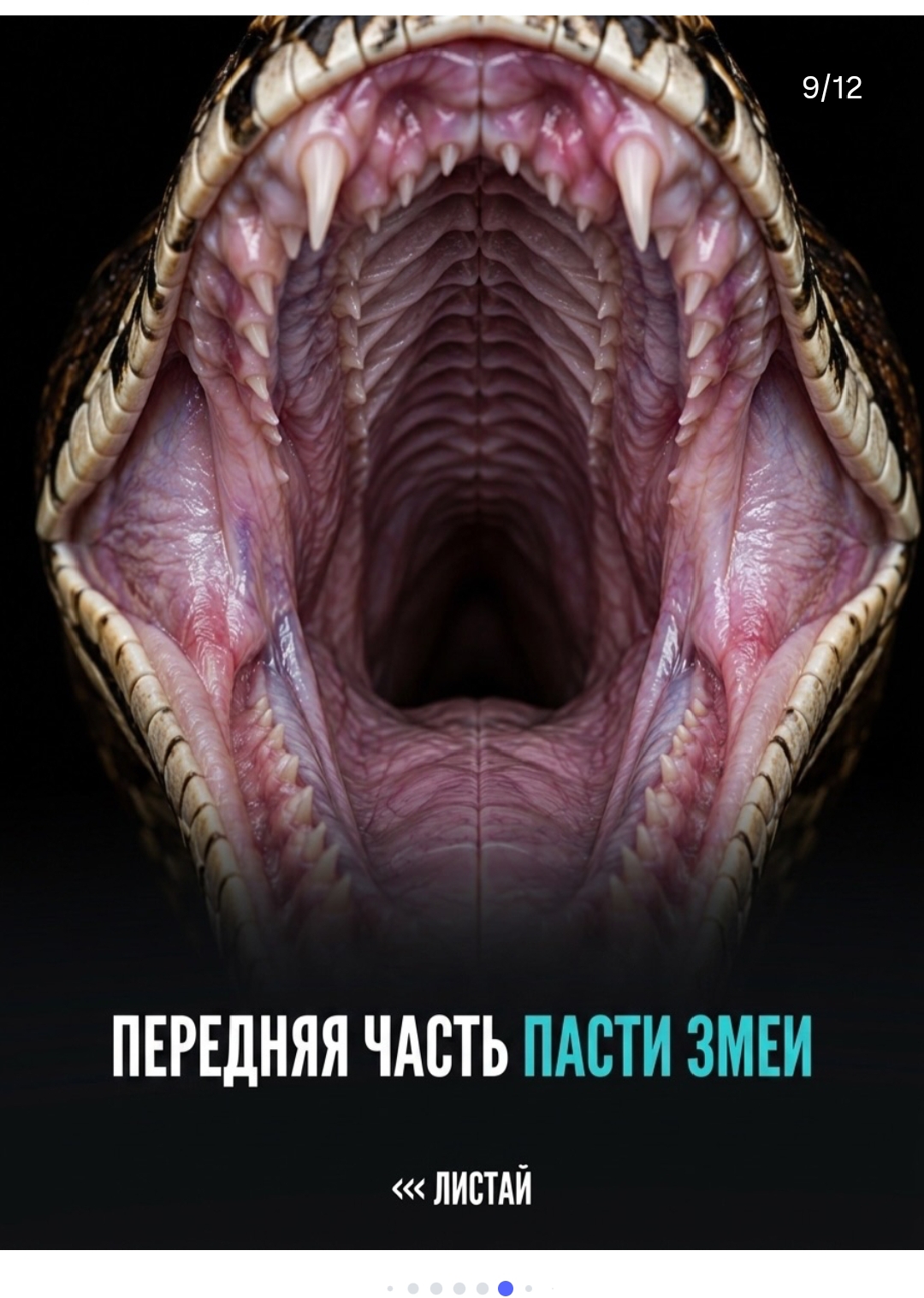 https://upforme.ru/uploads/001c/87/08/3/344563.jpg
