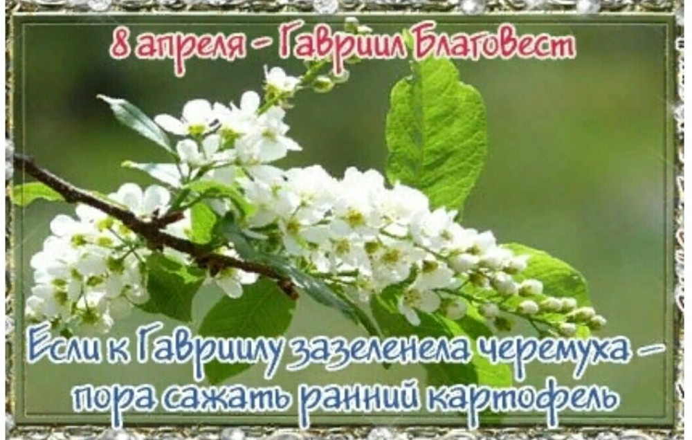 https://upforme.ru/uploads/001c/87/08/3/344753.jpg
