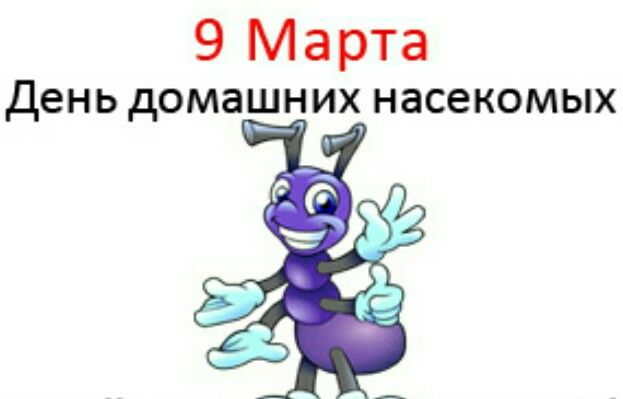 https://upforme.ru/uploads/001c/87/08/3/349250.jpg