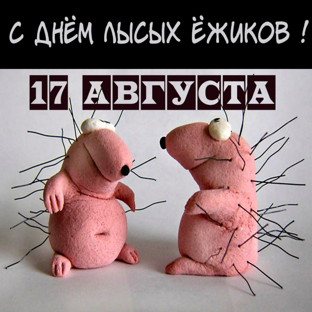https://upforme.ru/uploads/001c/87/08/3/349359.jpg