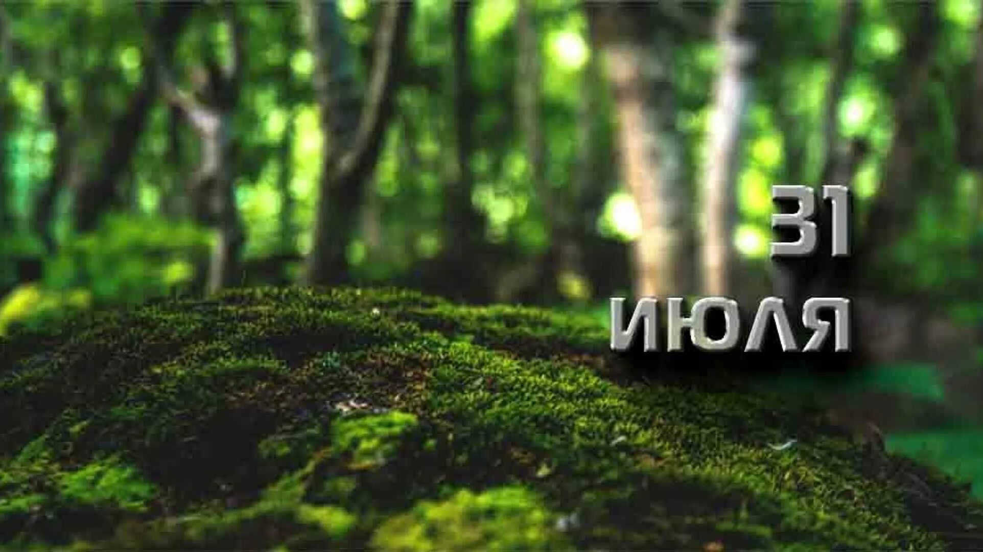 https://upforme.ru/uploads/001c/87/08/3/352871.jpg
