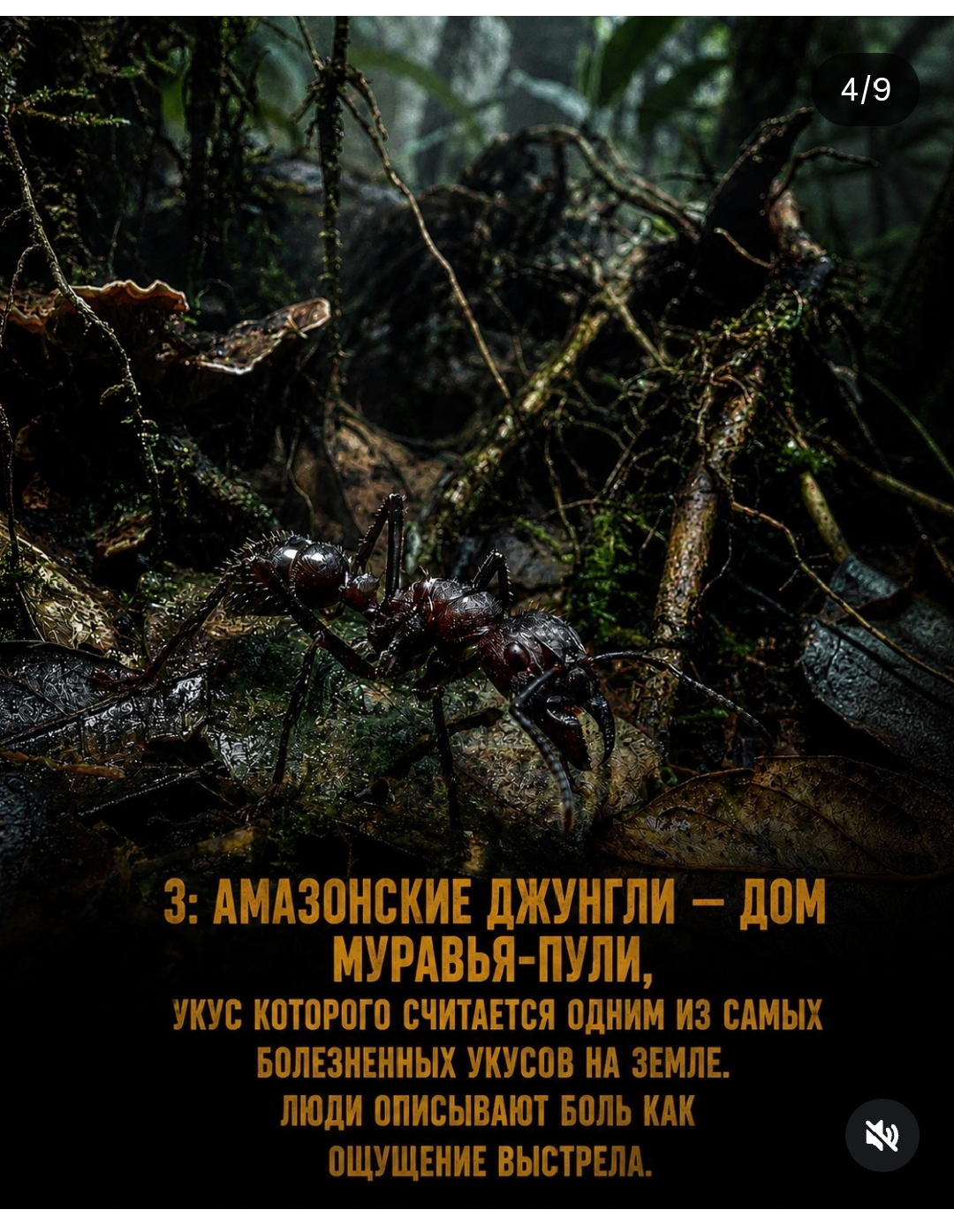 https://upforme.ru/uploads/001c/87/08/3/356768.jpg