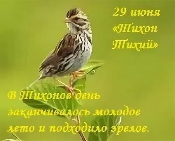https://upforme.ru/uploads/001c/87/08/3/364305.png