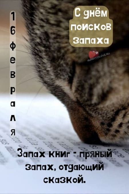 https://upforme.ru/uploads/001c/87/08/3/36468.jpg