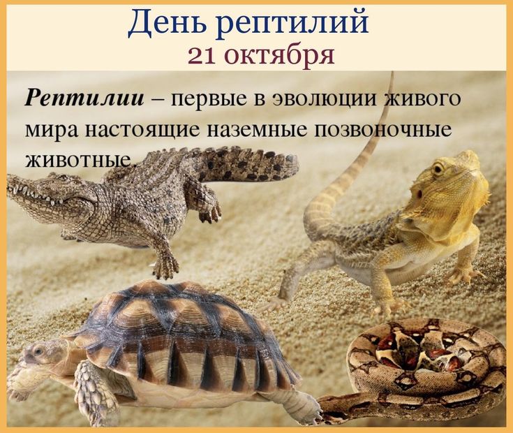 https://upforme.ru/uploads/001c/87/08/3/364822.jpg