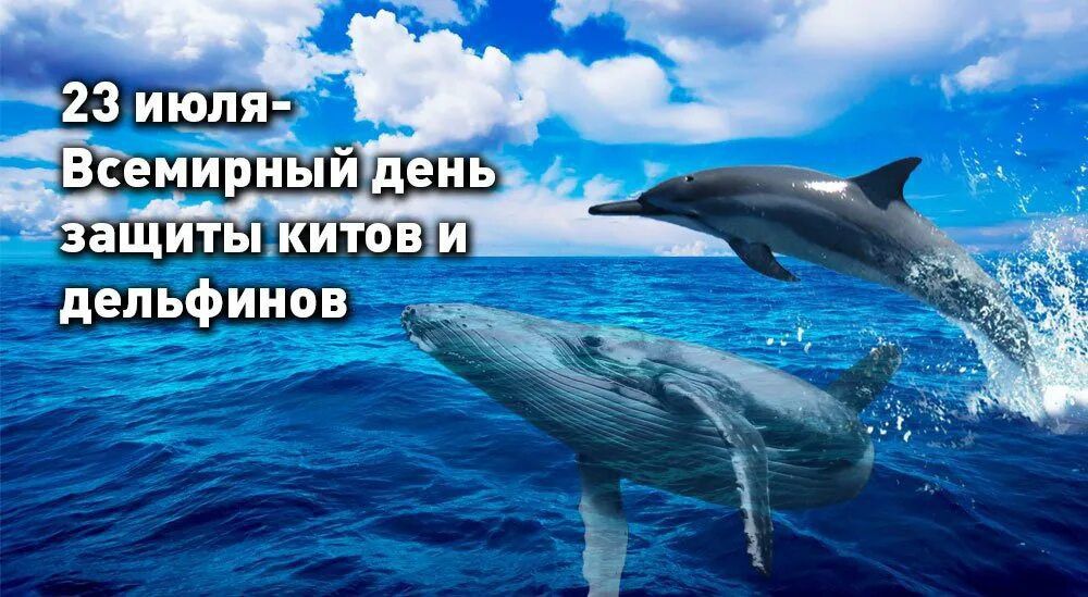https://upforme.ru/uploads/001c/87/08/3/364833.jpg