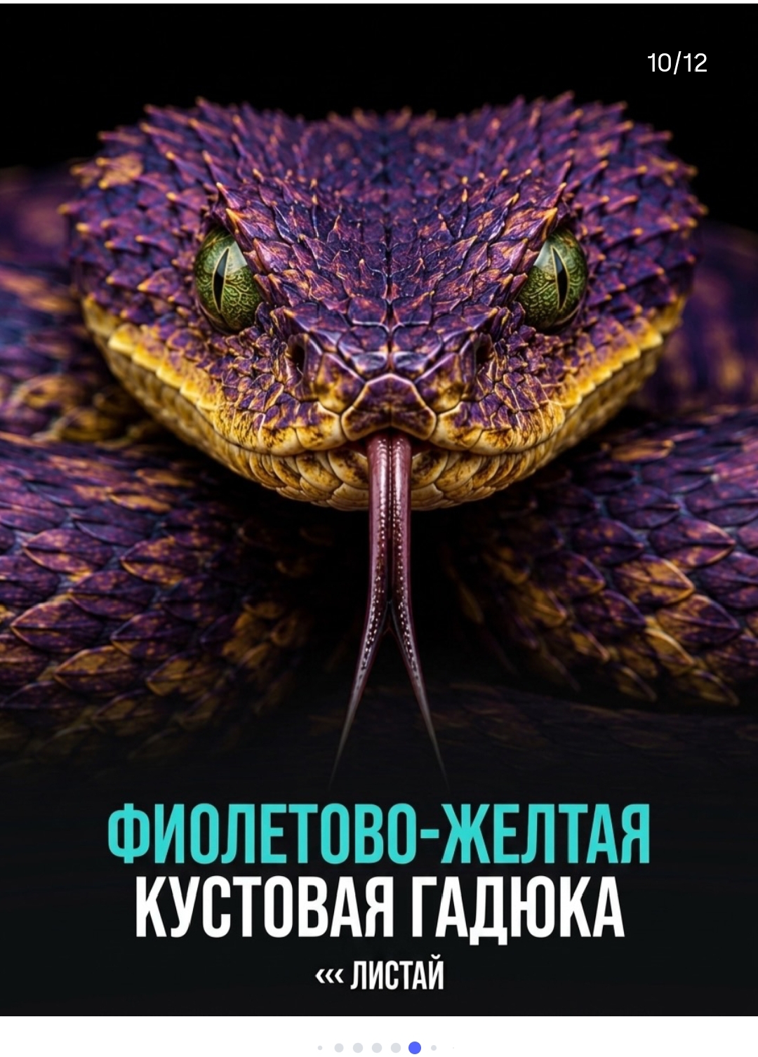 https://upforme.ru/uploads/001c/87/08/3/370113.jpg