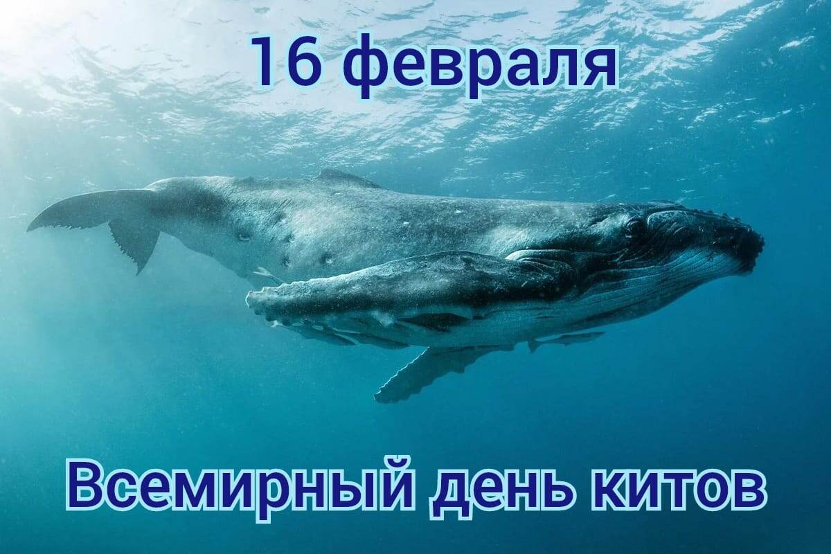 https://upforme.ru/uploads/001c/87/08/3/383555.jpg
