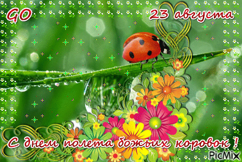 https://upforme.ru/uploads/001c/87/08/3/384825.gif
