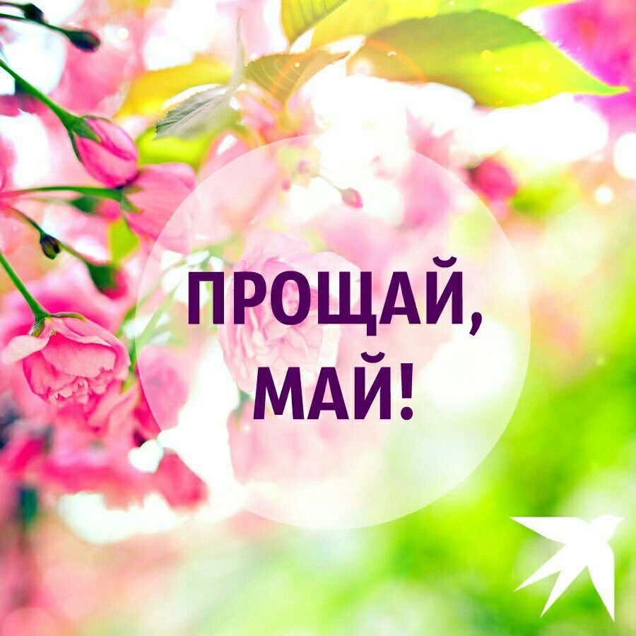 https://upforme.ru/uploads/001c/87/08/3/391917.jpg