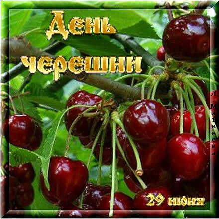 https://upforme.ru/uploads/001c/87/08/3/401053.jpg