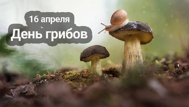 https://upforme.ru/uploads/001c/87/08/3/401542.jpg