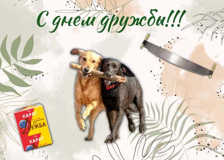 https://upforme.ru/uploads/001c/87/08/3/402132.jpg