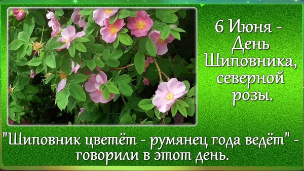 https://upforme.ru/uploads/001c/87/08/3/403973.jpg