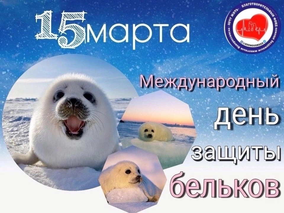 https://upforme.ru/uploads/001c/87/08/3/405357.jpg