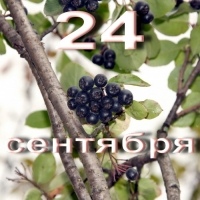 https://upforme.ru/uploads/001c/87/08/3/411964.jpg