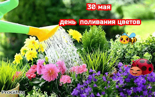 https://upforme.ru/uploads/001c/87/08/3/412538.gif