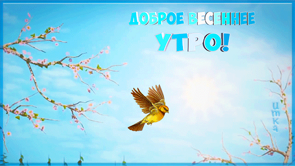 https://upforme.ru/uploads/001c/87/08/3/412863.gif