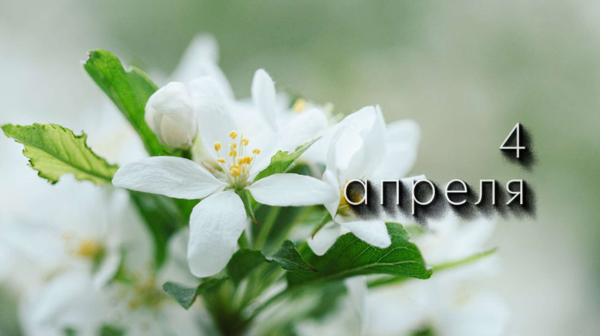 https://upforme.ru/uploads/001c/87/08/3/413777.jpg
