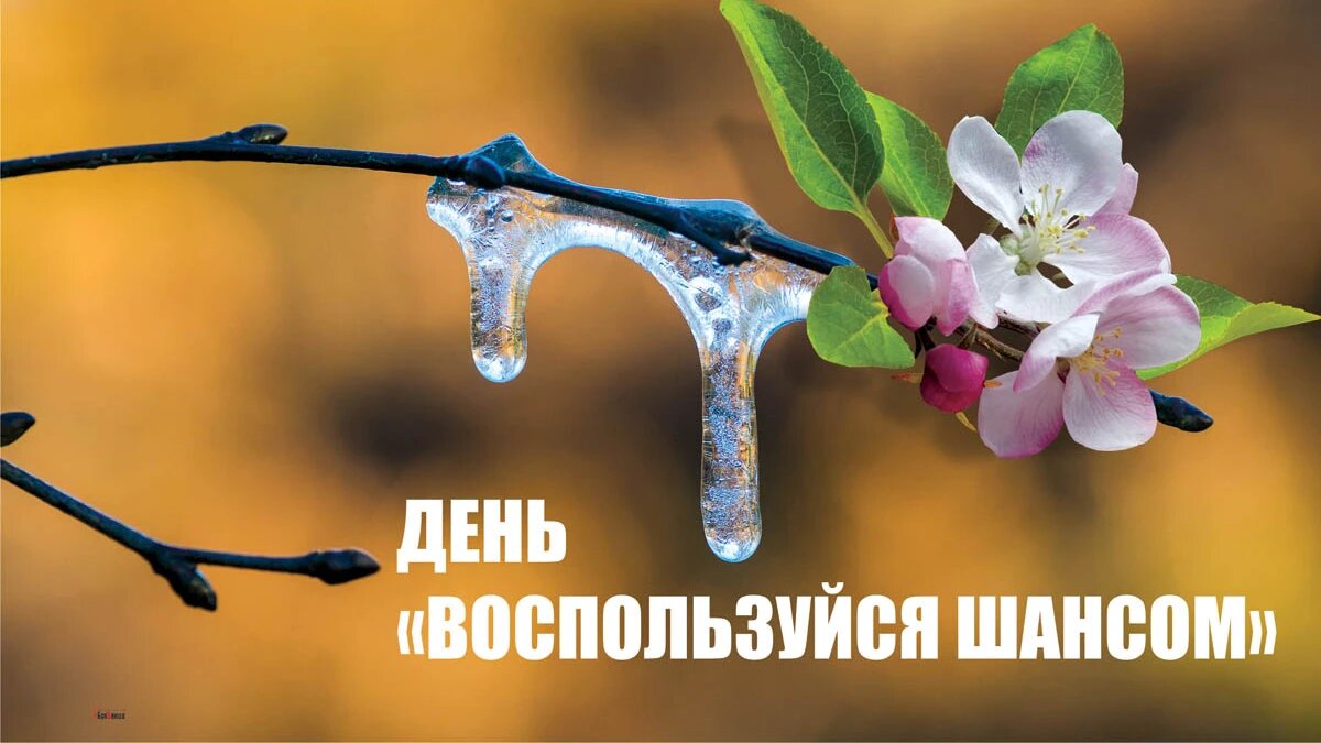 https://upforme.ru/uploads/001c/87/08/3/415412.jpg